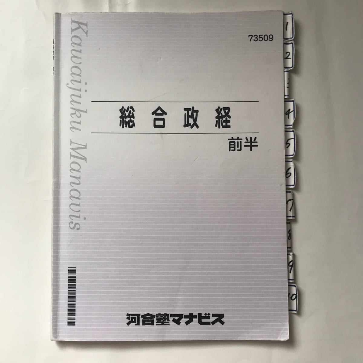 河合塾 テキスト 地歴 公民 政経 政治 経済 問題 応用 問題集 受験 入試 私大 難関大 私立大 共通テスト 国公立 発展 本