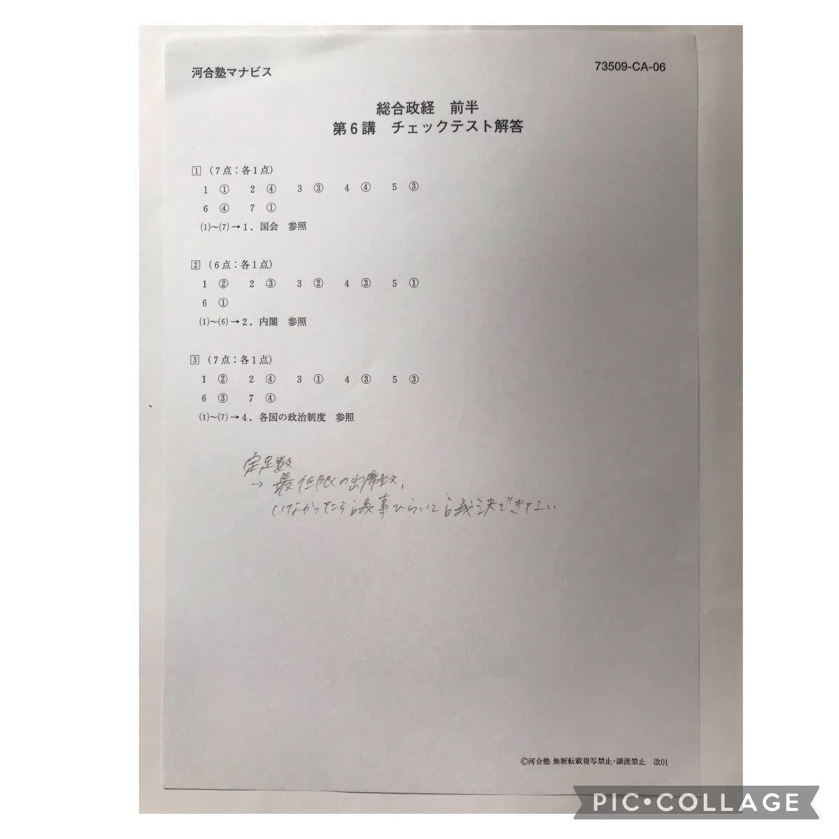 河合塾 テキスト 地歴 公民 政経 政治 経済 問題 応用 問題集 受験 入試 私大 難関大 私立大 共通テスト 国公立 発展 本