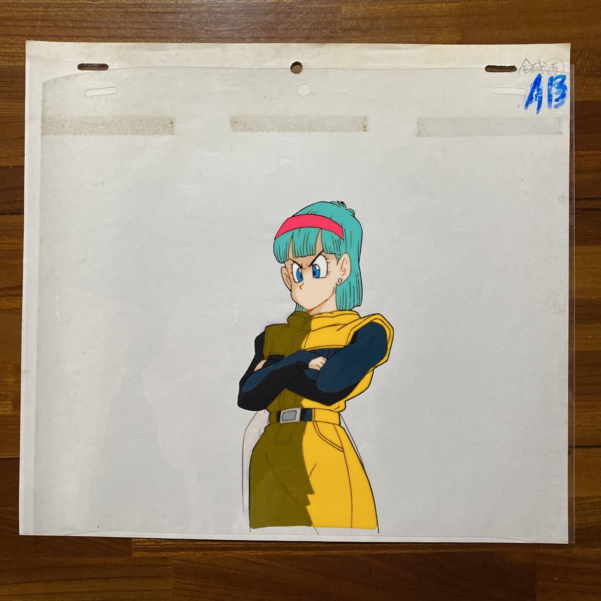 ドラゴンボール ブルマ セル画 | gruporio.net