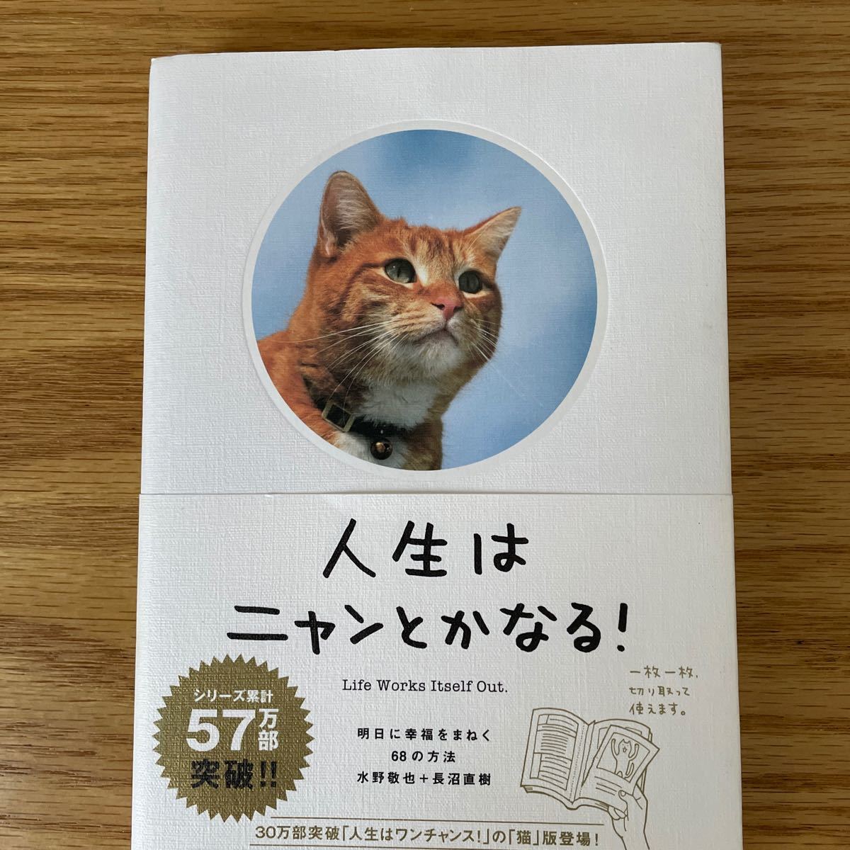 人生はニャンとかなる! 明日に幸福をまねく68の方法/水野敬也/長沼直樹