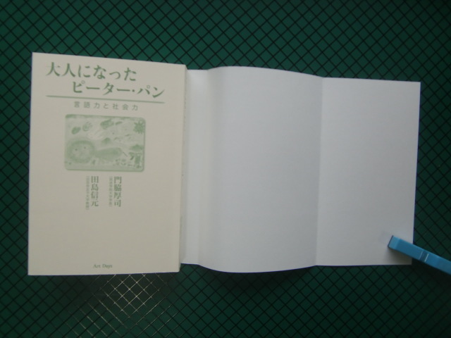 「大人になったピーター・パン」　２００７年・アートデイズ_画像2