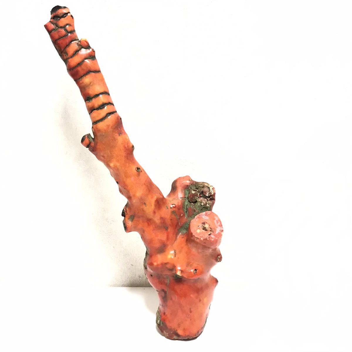 送料無料 / 山珊瑚 / 原木 / 重さ 861g / 高さ 約31cm / 置物 送料無料 / 山珊瑚 / 原木 / 重さ 861g / 高さ 約31cm / 置物