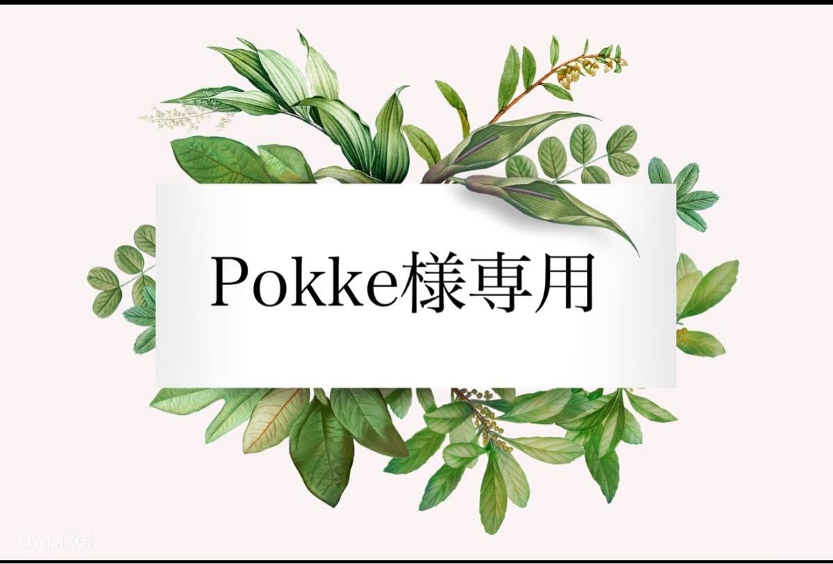 Pokke様専用