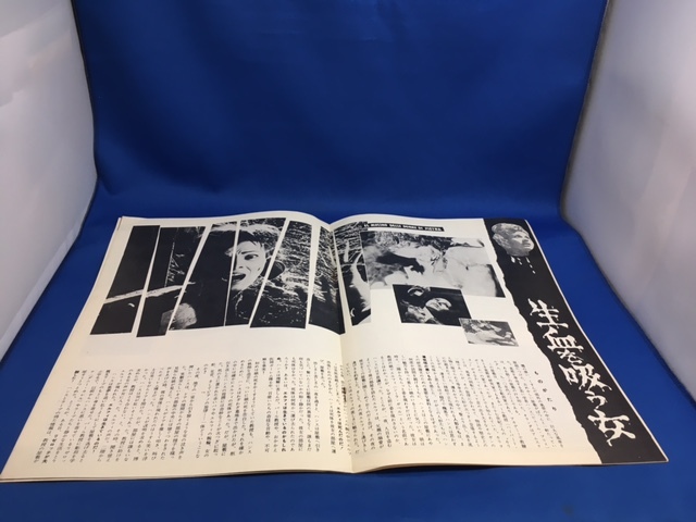  movie pamphlet [ raw .... woman / Osaka . real /jorujo*fe low ni] pamphlet 