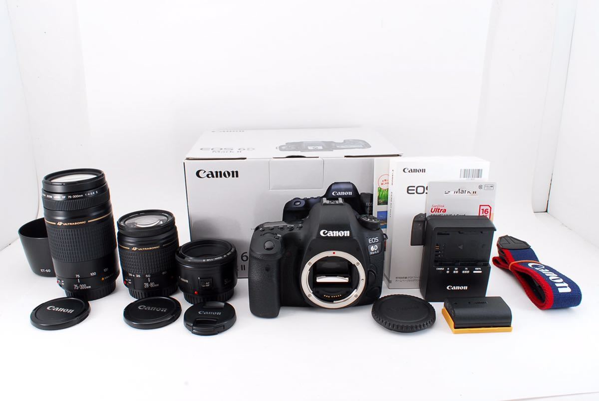 キャノン Canon EOS 6D mark II 標準&望遠&単焦点トリプルレンズセットCanon EF28-80㎜ II EF 75-300㎜ USM Canon EF 50㎜1:1.8 II☆200_画像1
