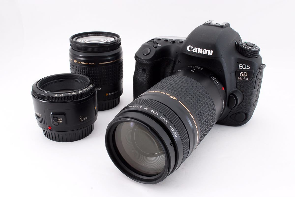 キャノン Canon EOS 6D mark II 標準&望遠&単焦点トリプルレンズセットCanon EF28-80㎜ II EF 75-300㎜ USM Canon EF 50㎜1:1.8 II☆200_画像2
