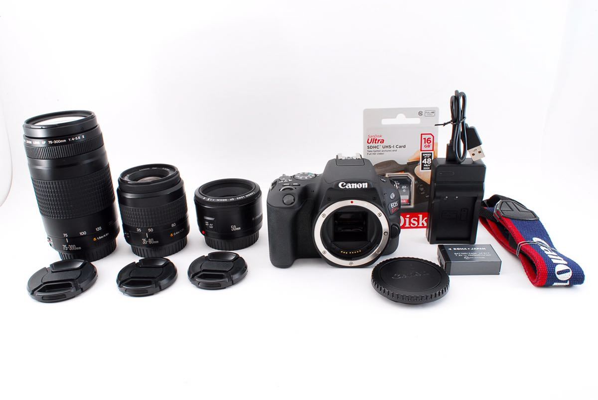 Canon EF28-80、Canon EF75-300標準&望遠（2セット）-