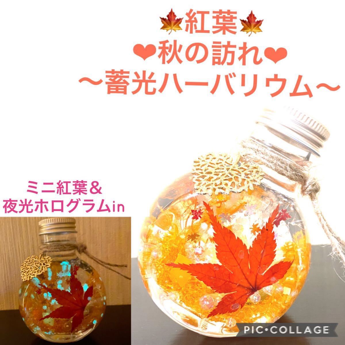 【紅葉】〜秋限定〜紅葉&蓄光ホログラムin ハーバリウムS ネコ瓶♪