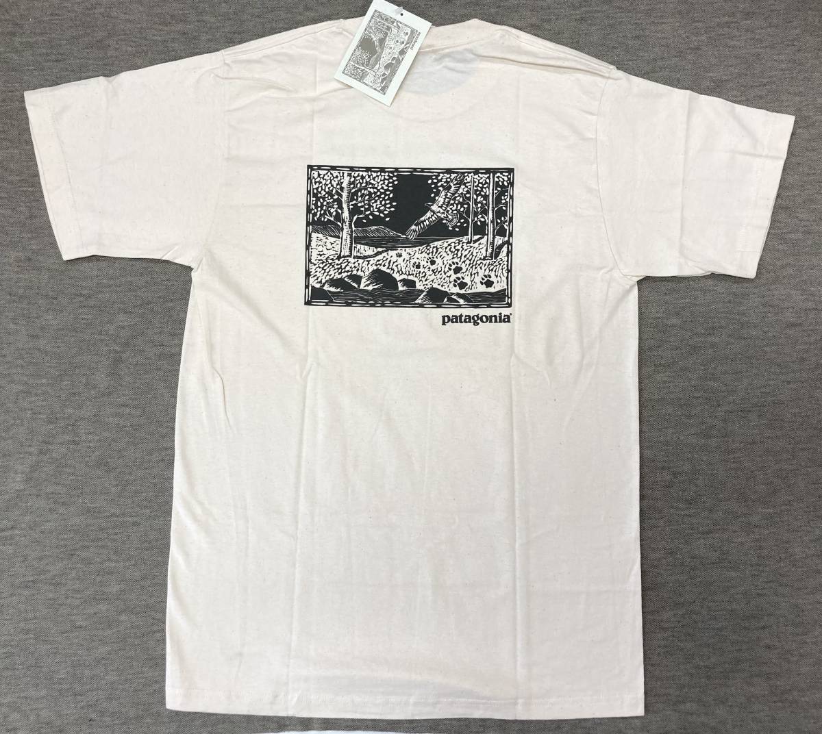 デッド USA製 00s patagonia beneficial EARTH DAY 2002 Tシャツ S パタゴニア 02年製 アースデイ_画像1