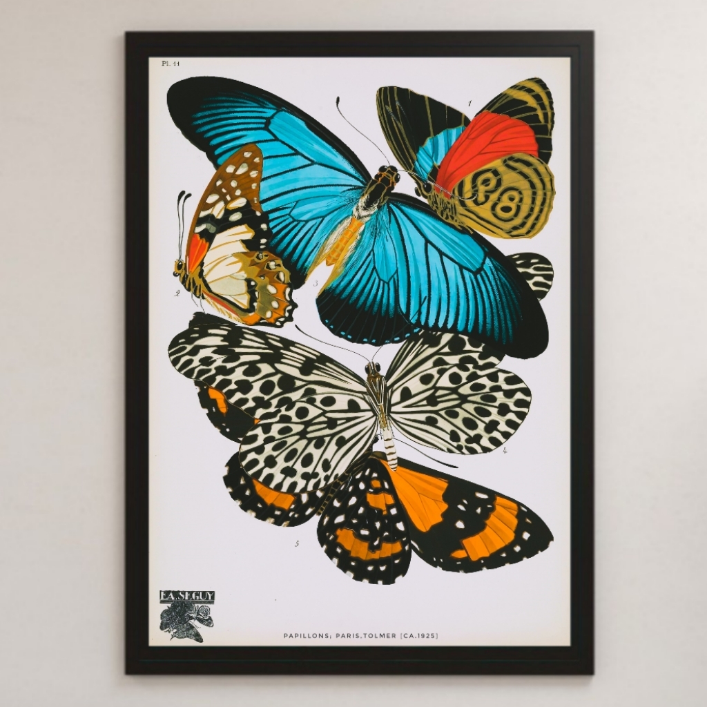  butterfly . Moss butterfly insect Vintage illustration lustre poster A3 ② bar Cafe living Classic interior age is butterfly papiyon