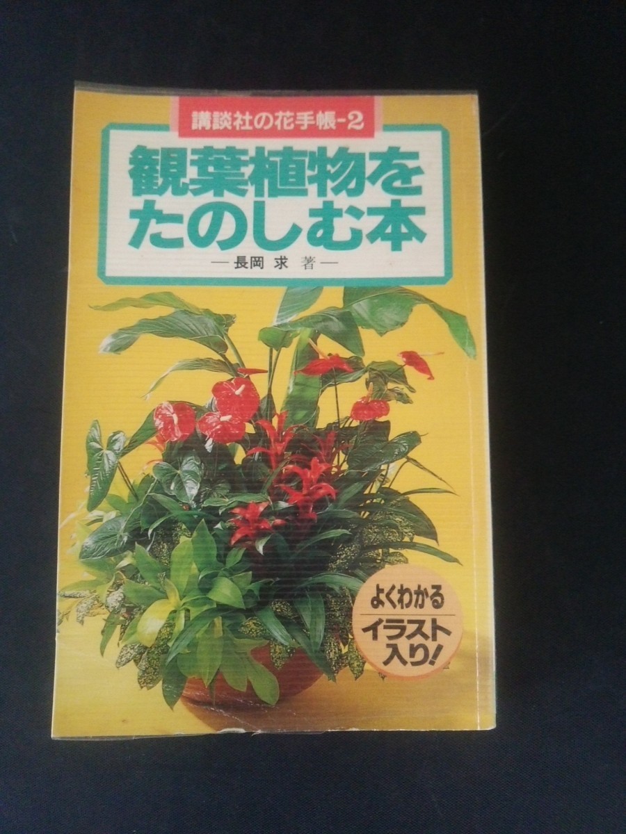 Ba5 02507 観葉植物を楽しむ本 講談社の花手帳-2 講談社 1994年8