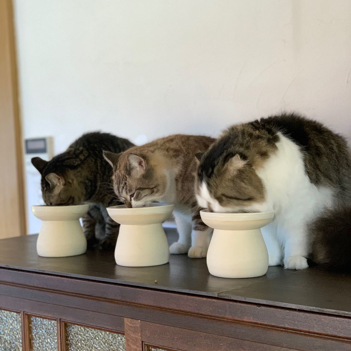 Paypayフリマ 早食い防止用 鈴入りペット用フードボール A 4猫ちゃん小型犬用 Paypayフリマ 早食い防止用 鈴入りペット用フードボール A 4猫ちゃん小型犬用