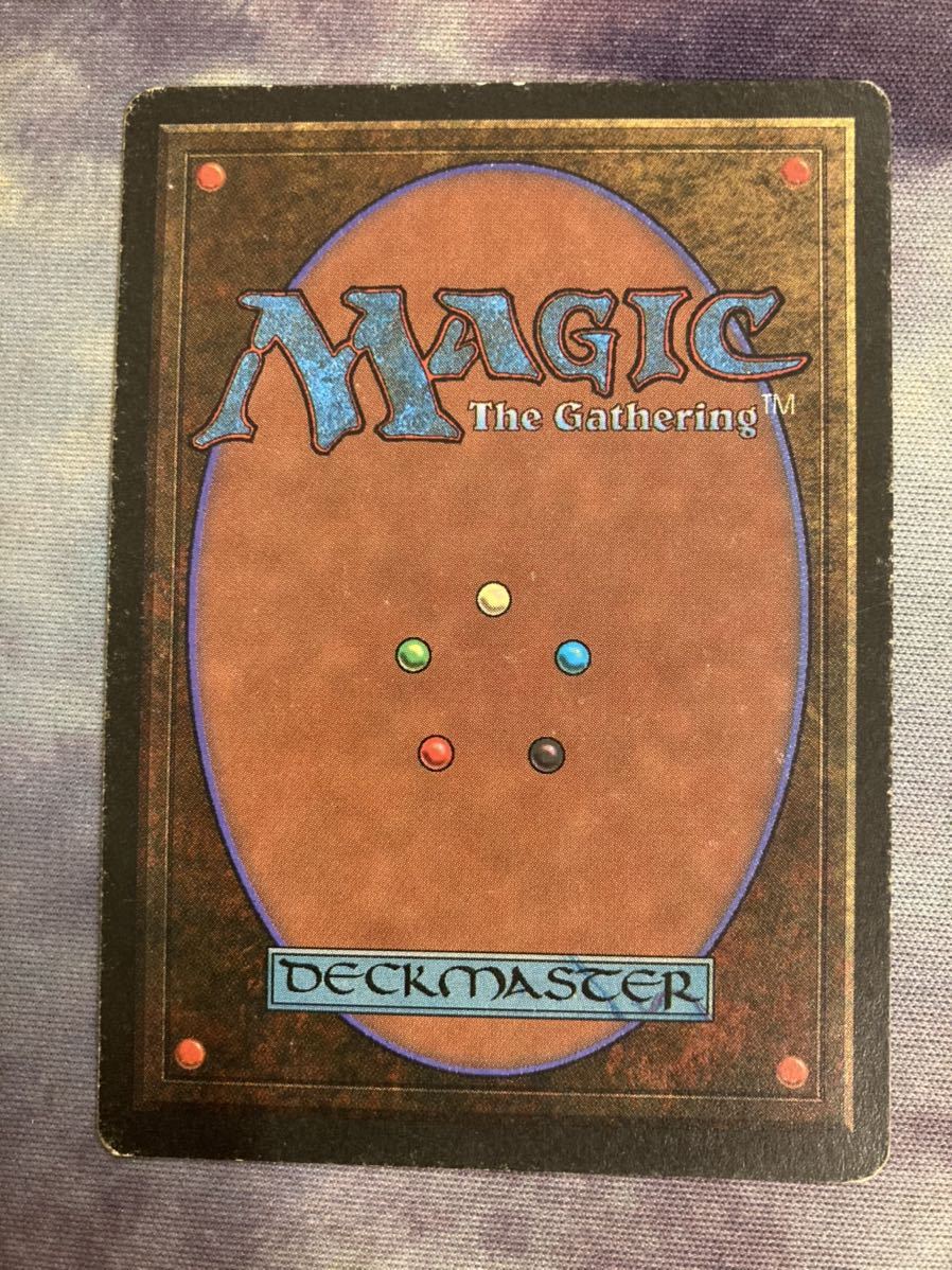 LEG マナ吸収 英1枚 初版 mtg | smsgolubovci.me