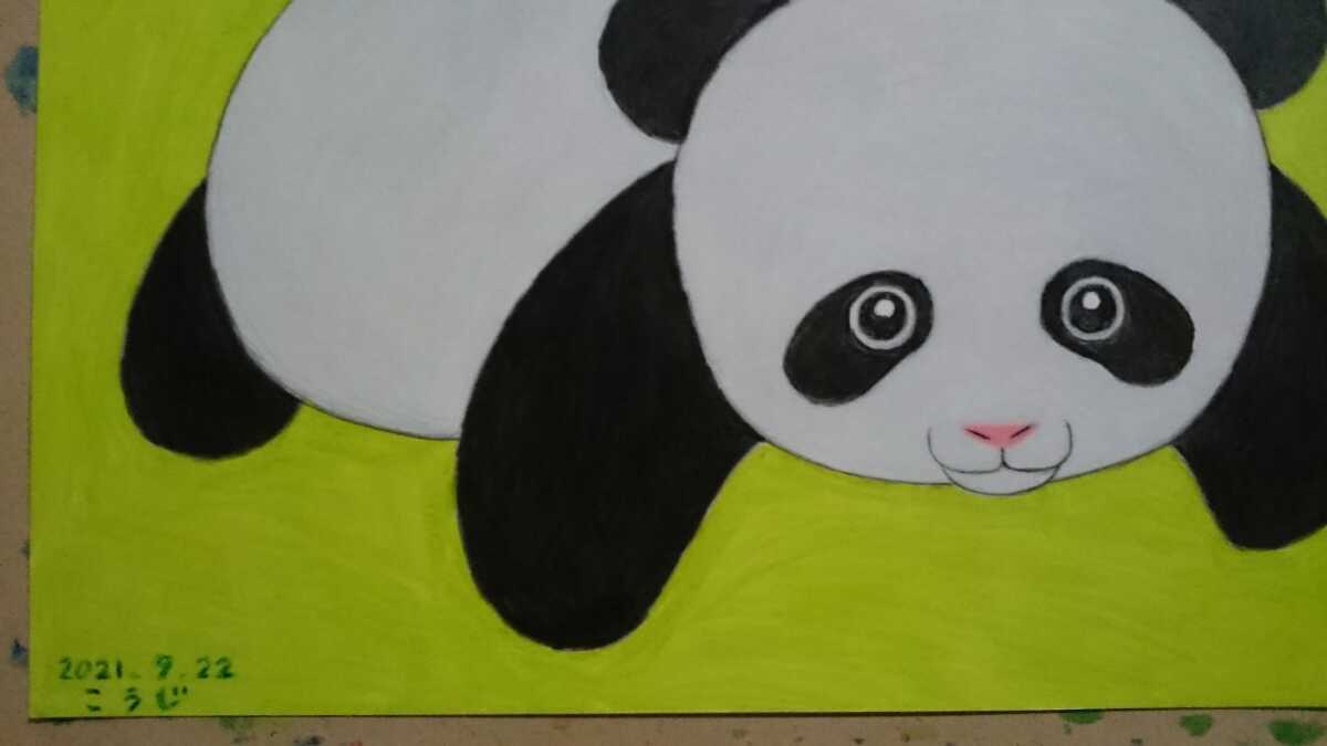 B5 size original hand-drawn illustrations Panda. baby 