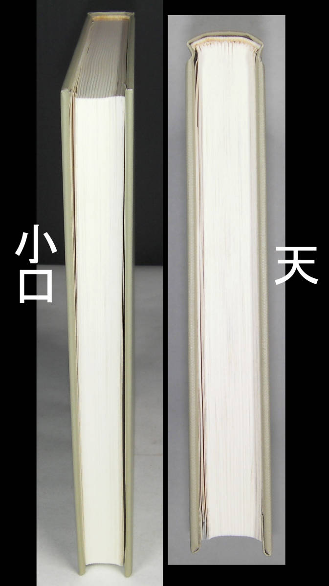 「馬祖の語録」　入矢義高著　禅文化研究所　昭和５９年発行_画像3