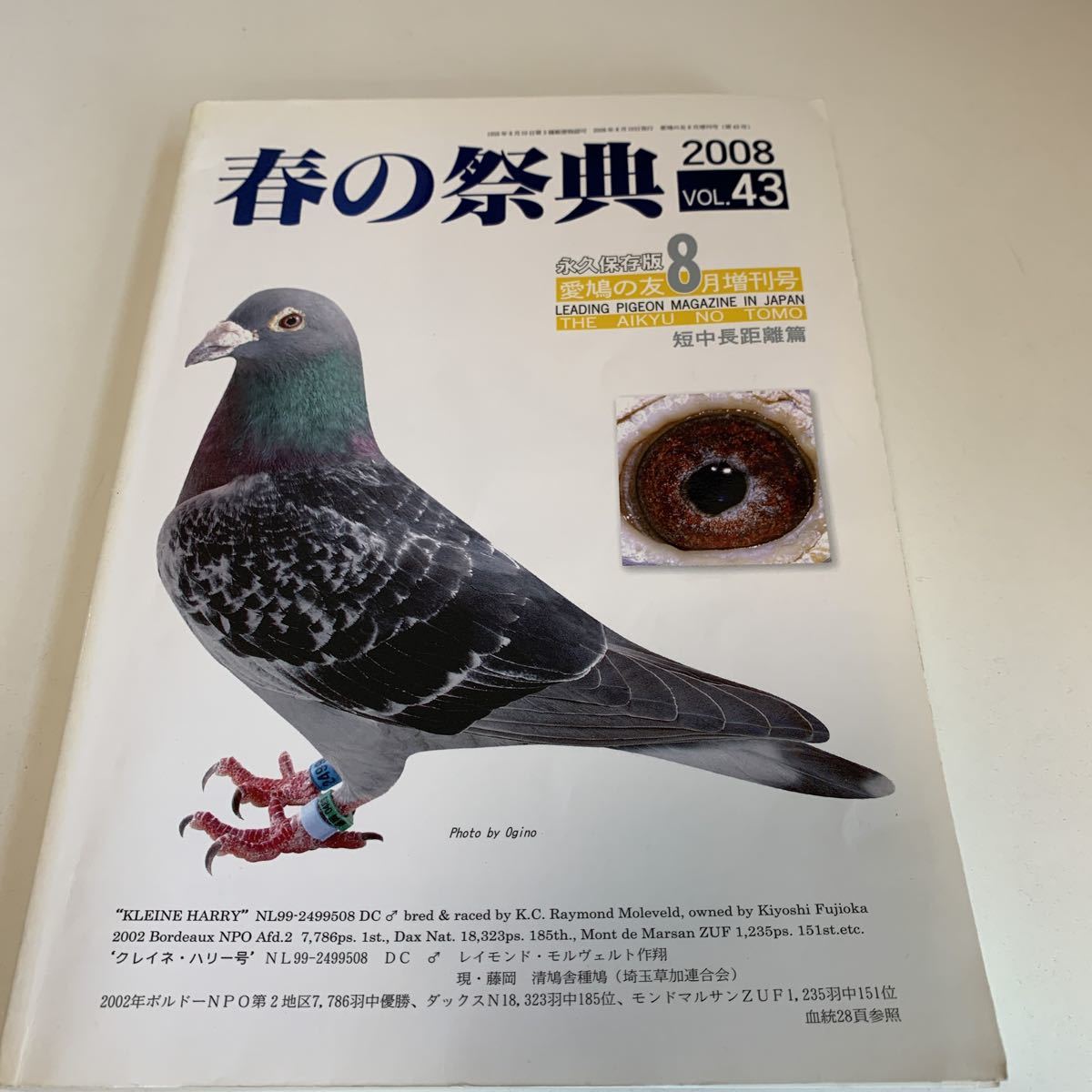 Yj80 春の祭典 愛鳩の友 8月 増刊号 短中長距離篇 レース鳩 グロリアス 日本優秀鳩舎賞 日本鳩レース協会 鳩 伝書鳩 鳩の歴史 08年 ペット 動物 売買されたオークション情報 Yahooの商品情報をアーカイブ公開 オークファン Aucfan Com