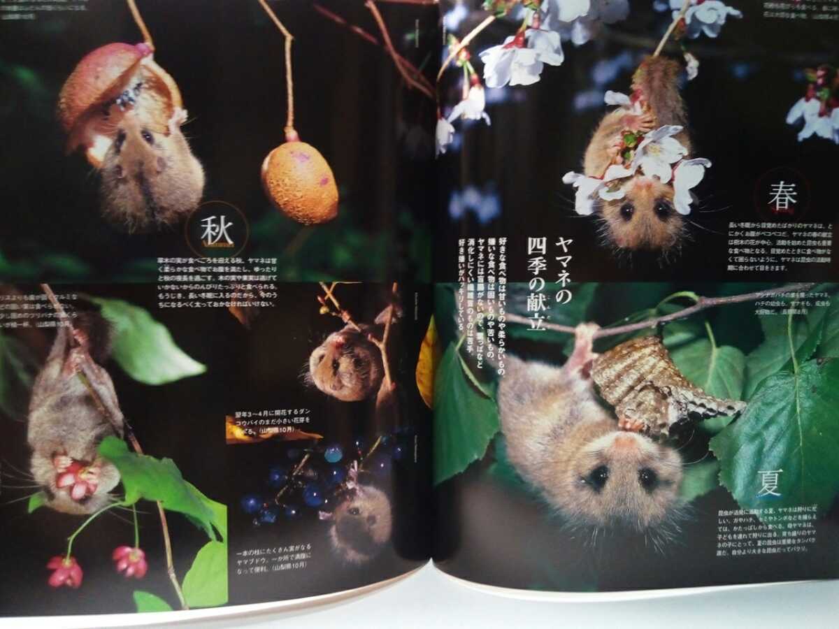 Paypayフリマ 絶版 週刊日本の天然記念物11ヤマネ ヤマネ四季の食物 冬眠 夜行性ムササビ モモンガ 昼行性ニホンリス エゾリス 動物に会える森 Paypayフリマ 絶版 週刊日本の天然記念物11ヤマネ ヤマネ四季の食物 冬眠 夜行性ムササビ モモンガ 昼行性ニホンリス エゾリス 動物に会える森