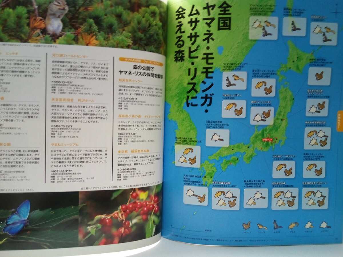 Paypayフリマ 絶版 週刊日本の天然記念物11ヤマネ ヤマネ四季の食物 冬眠 夜行性ムササビ モモンガ 昼行性ニホンリス エゾリス 動物に会える森 Paypayフリマ 絶版 週刊日本の天然記念物11ヤマネ ヤマネ四季の食物 冬眠 夜行性ムササビ モモンガ 昼行性ニホンリス エゾリス 動物に会える森