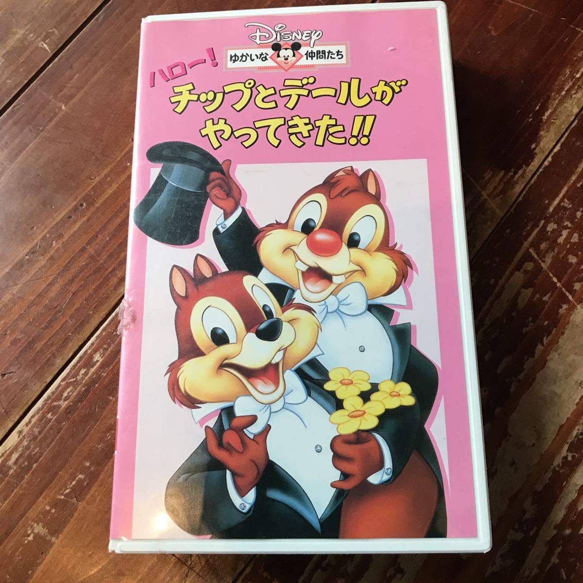 【レア ＶＨＳ】ハロー!チップとデールがやってきた!! 日本語吹替版 ディズニー アニメ 即決〈同梱歓迎〉非レンタルの画像1