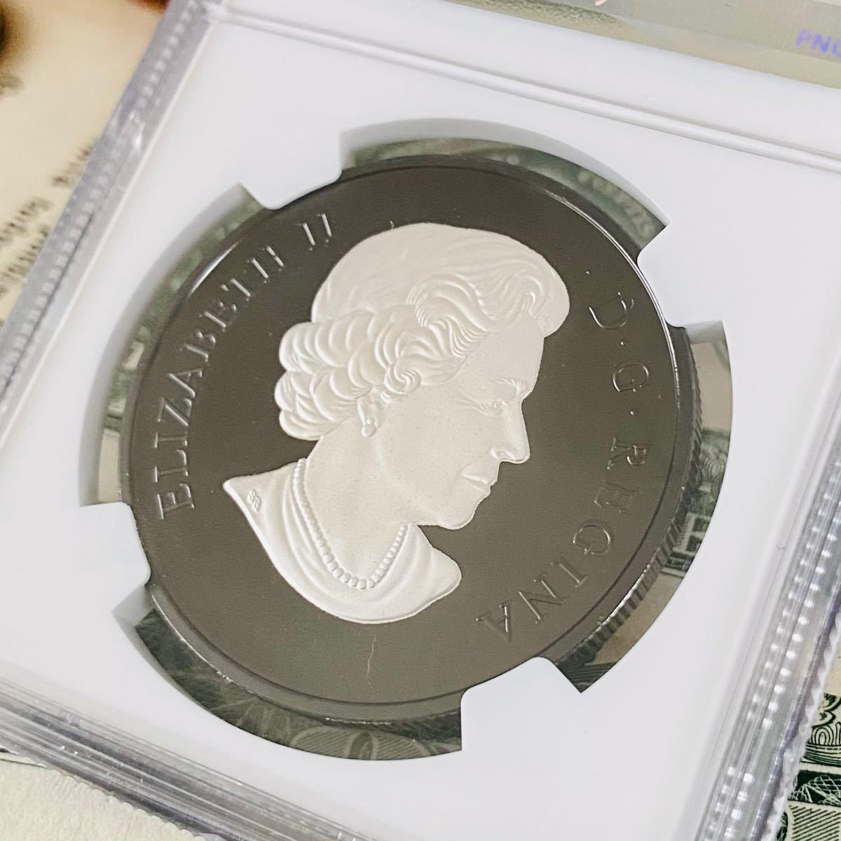 ☆NGC☆最高鑑定☆2021 カナダ 20ドル ティラノサウルス PF70