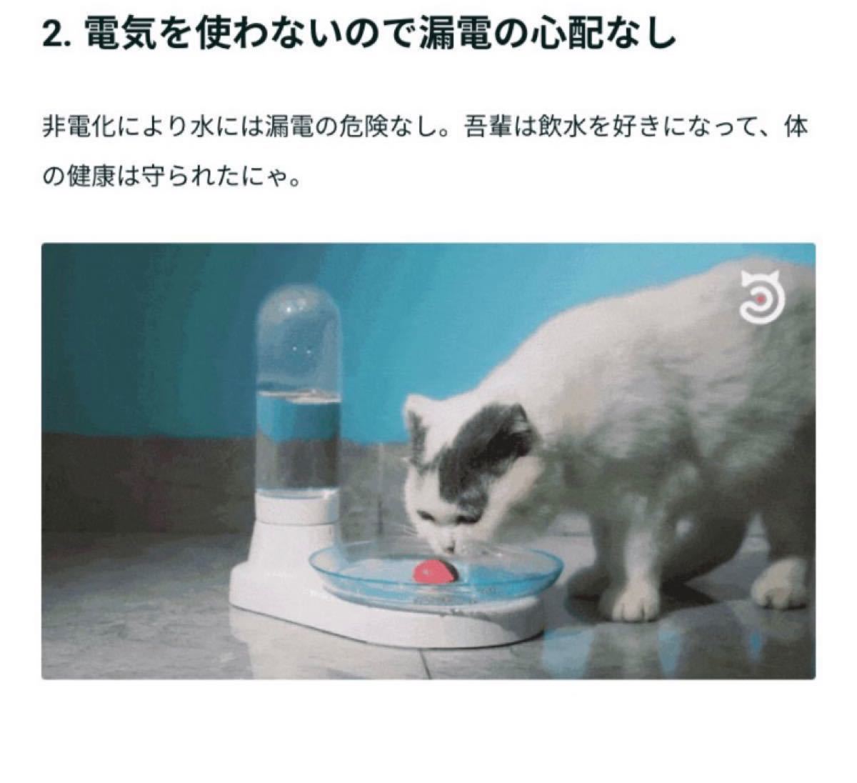 猫用　自動給水禁煙　KittySpring 