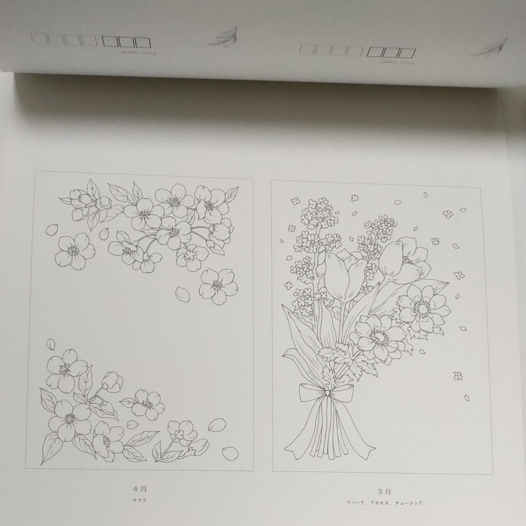 ぬりえbook　２冊セット　花　小鳥　自然