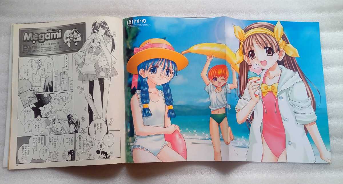 Megami MAGAZINE mega mi magazine VOL05 Animedia 6 month number separate volume 2000 year 6 month 1 day issue 