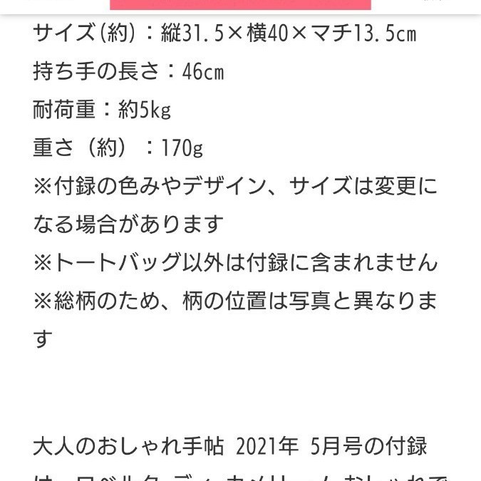 大人のおしゃれ手帖付録ロベルタディカメリーノ保冷トートバック