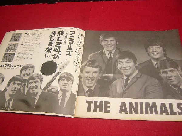 【稀少】パンフ アニマルズ 2種セット 1965年 1968年 来日公演 エリック・バードン アンディ・サマーズ ANIMALS ヴィンテージの画像3