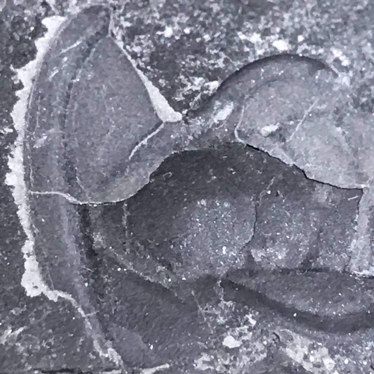 三葉虫・44g（中国産化石標本）_画像4