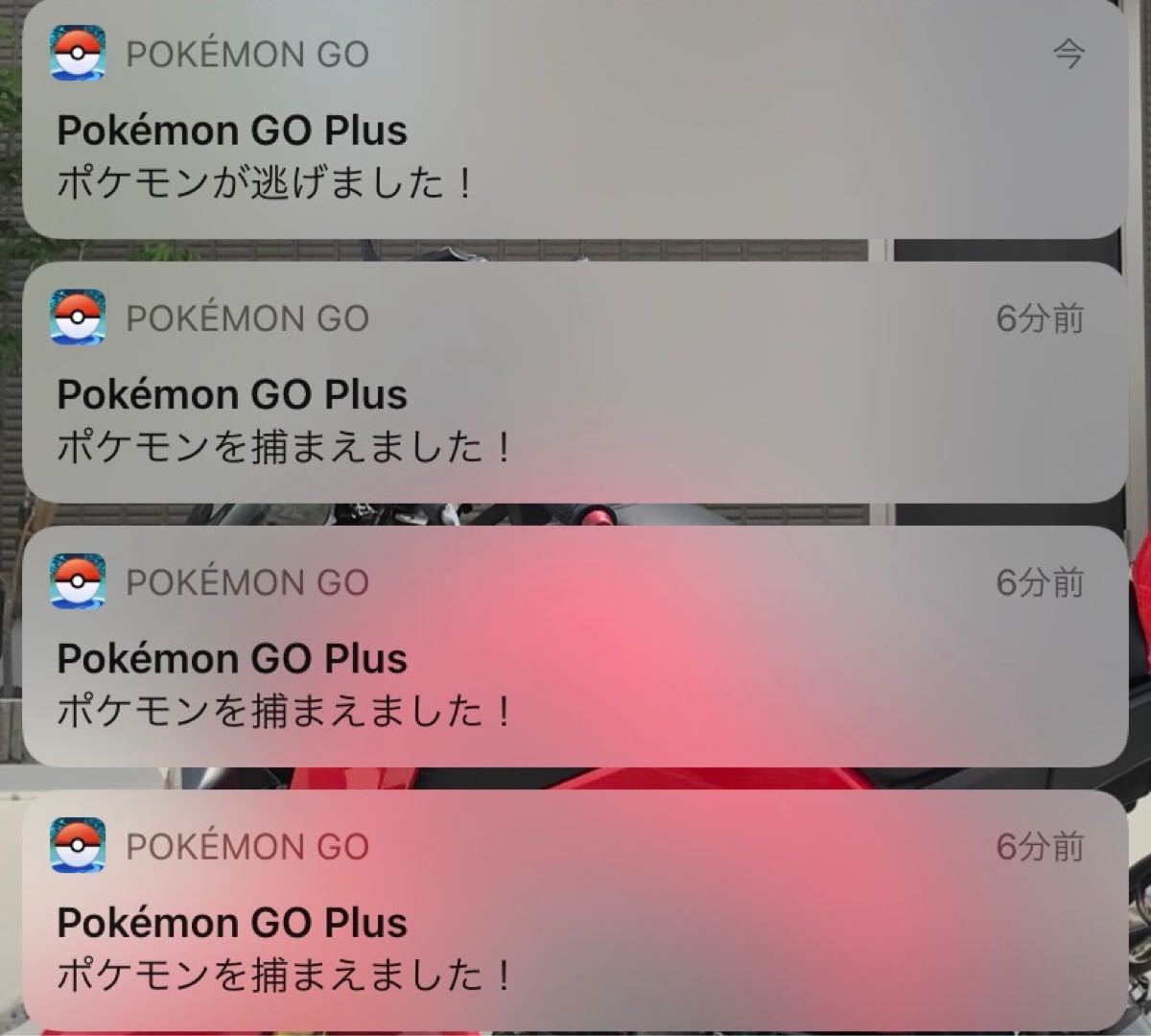 Paypayフリマ ポケモンgoプラス オートキャッチ ポケモン アイテム 自動回収 Paypayフリマ ポケモンgoプラス オートキャッチ ポケモン アイテム 自動回収