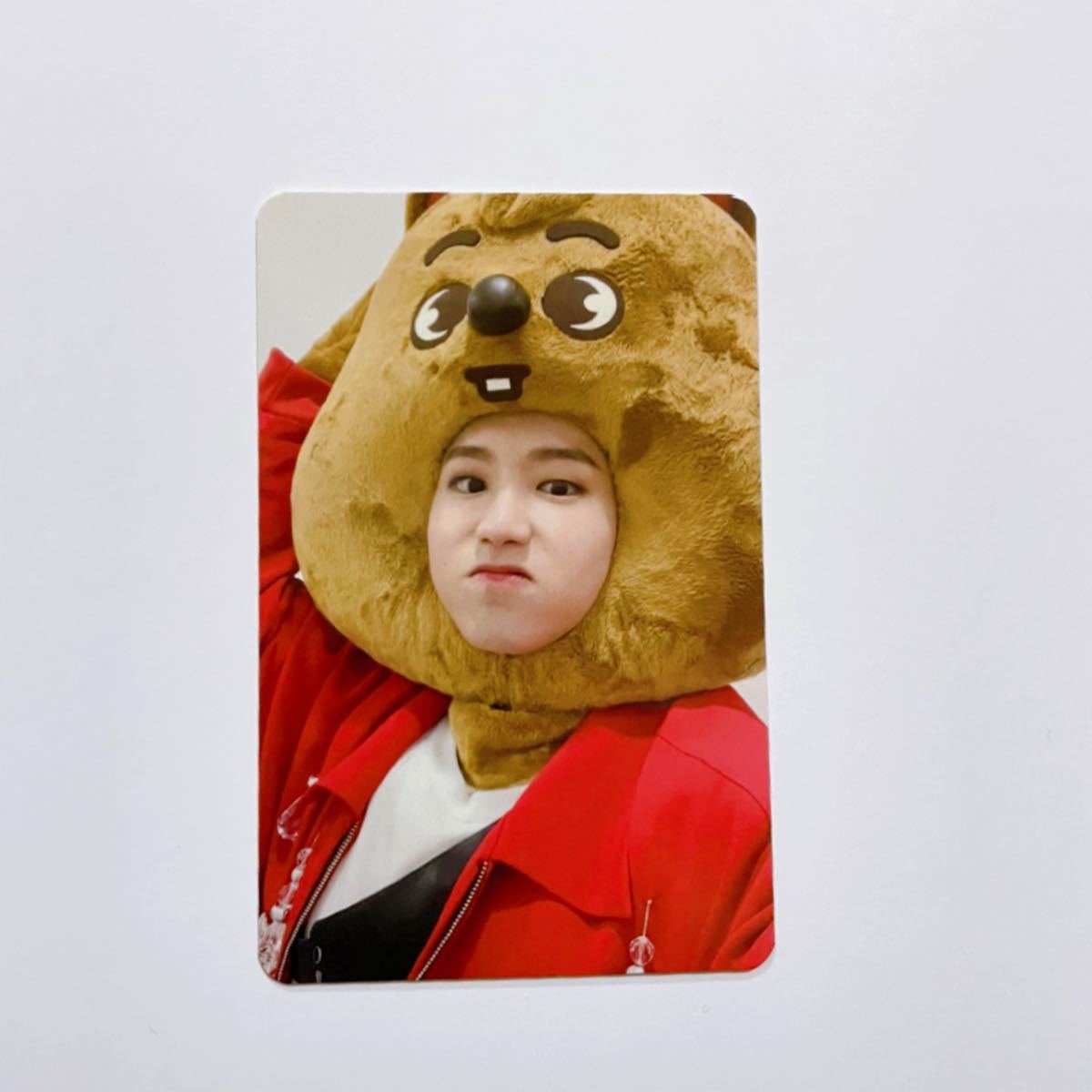 straykids ハン トレカ|Yahoo!フリマ(旧PayPayフリマ) straykids ハン トレカ|Yahoo!フリマ(旧PayPayフリマ)