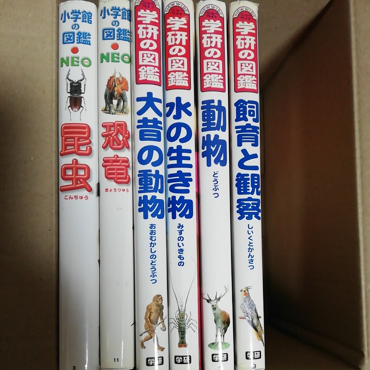特別価格 30冊セット 学研の図鑑 - その他