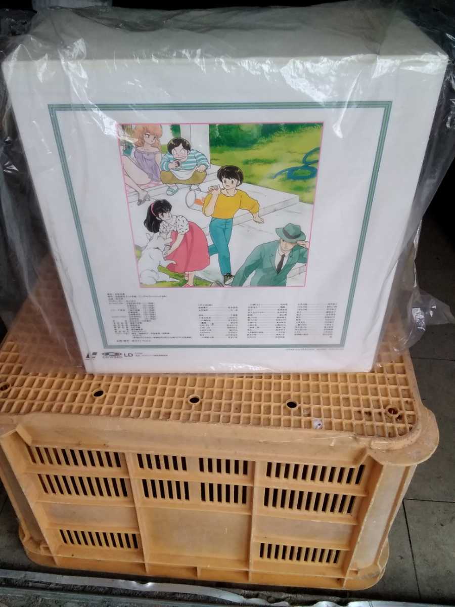  Maison Ikkoku TV series complete compilation version LD BOX 24 sheets set height .. beautiful .