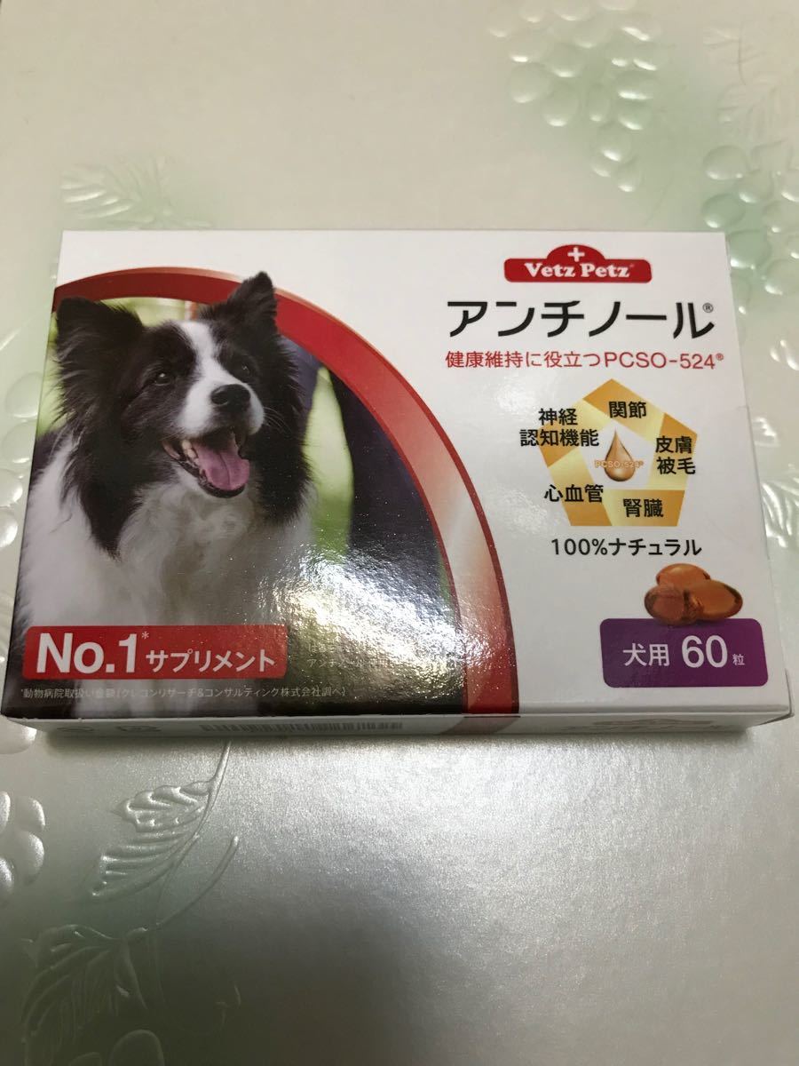 当店限定 アンチノール犬用60粒 累計販売2万枚突破 Www Ijqr Net 当店限定 アンチノール犬用60粒 累計販売2万枚突破 Www Ijqr Net