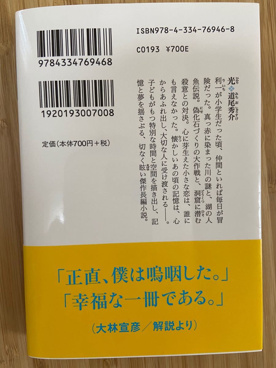 文庫本　光（道尾秀介）、水の棺（道尾秀介）、ナナフシ（幸田真音）、穂足のチカラ（梶尾真治）　まとめ売り