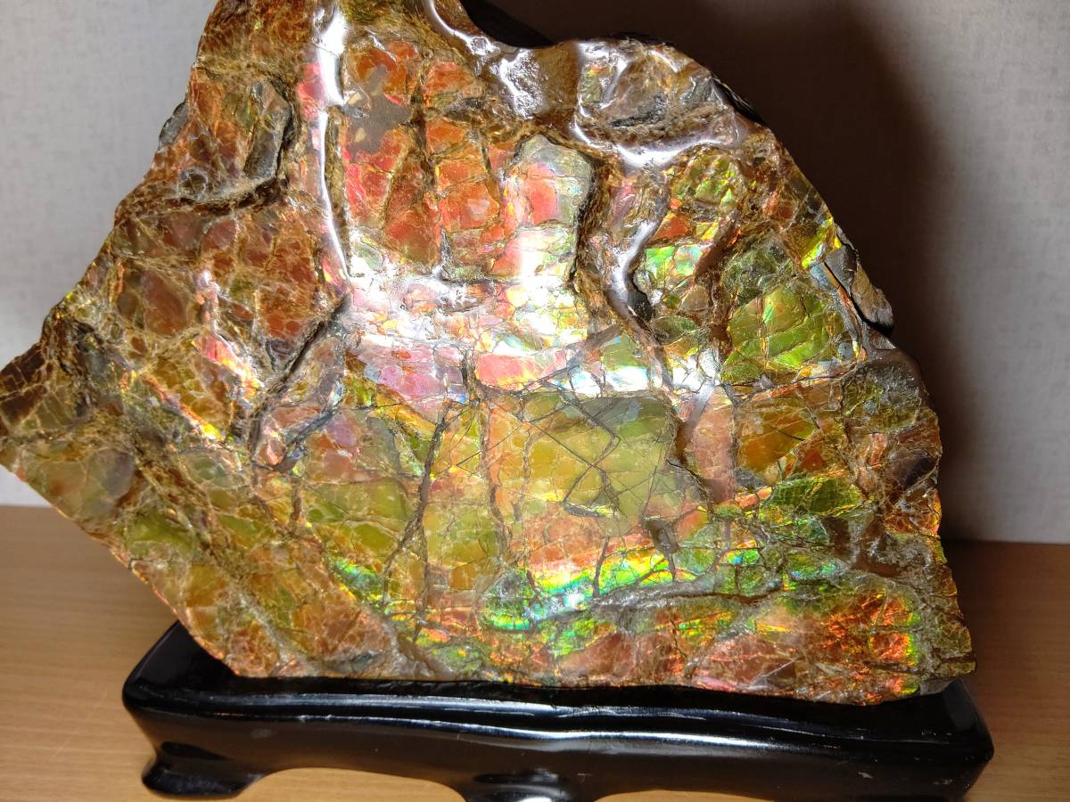 大型 アンモライト 5.2kg アンモナイト 縫合線 化石 原石 宝石 