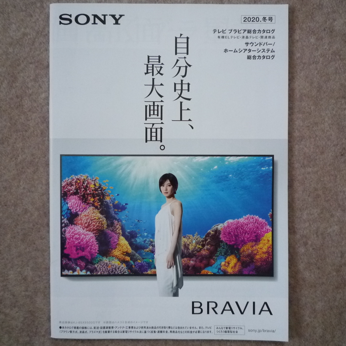 ソニー テレビ カタログ　sony ブラビア BRAVIA 2020年11月_画像1