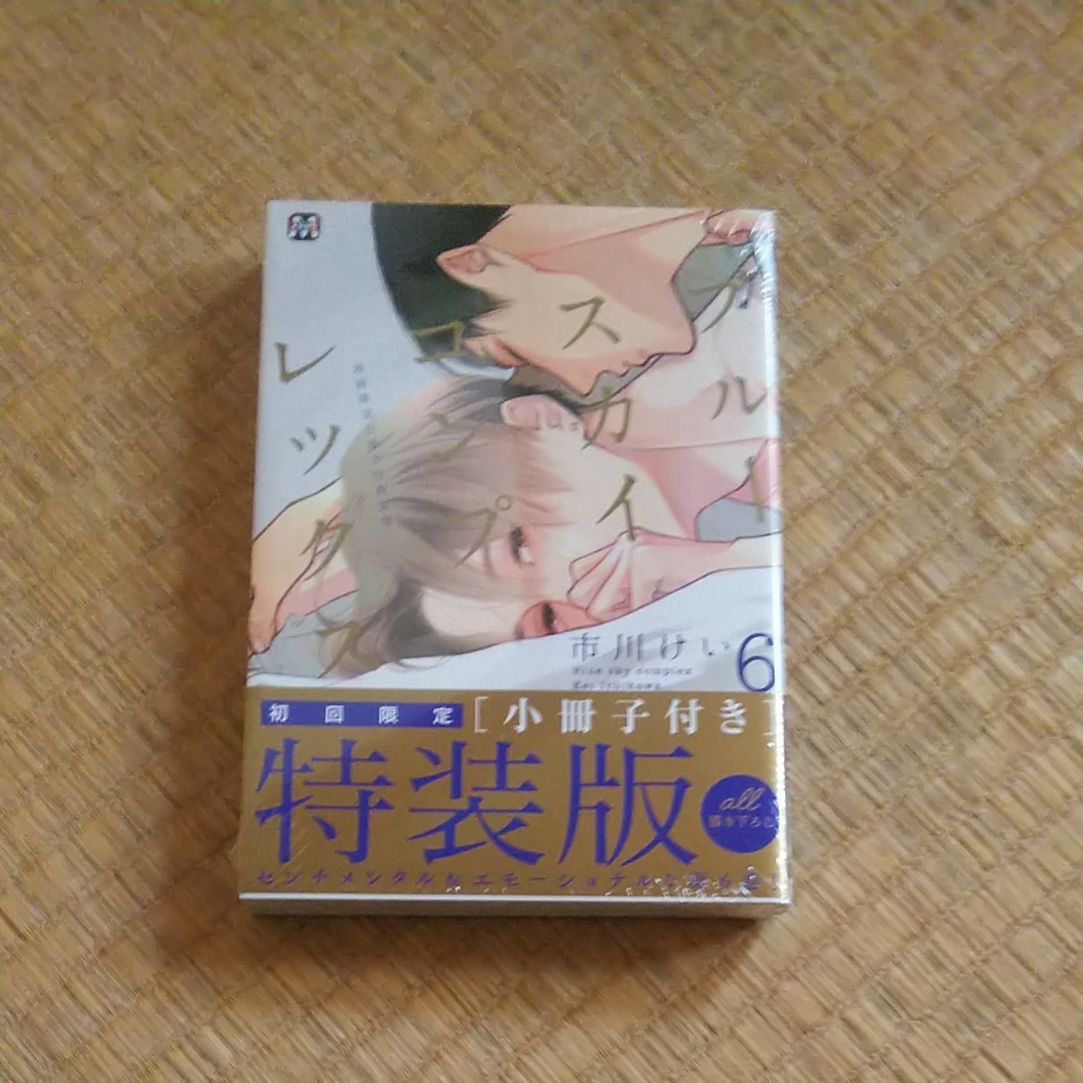 市川けい「ブルースカイコンプレックス6」