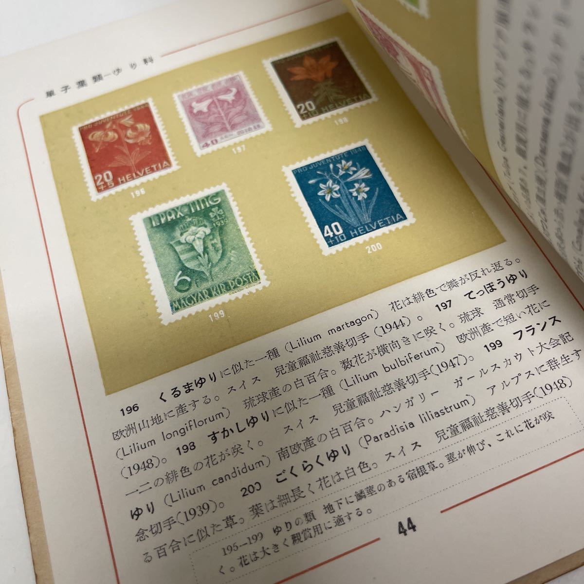  hobby . knowledge world mail stamp illustrated reference book plant stamp . Showa era 27 year the first version 