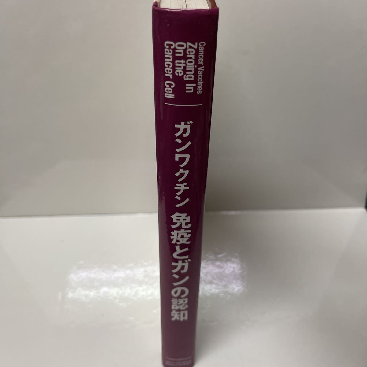 免疫とガンの認知 ガンワクチン ローエルT.ハーミソン 蓮見賢一郎 2004年 初版_画像2