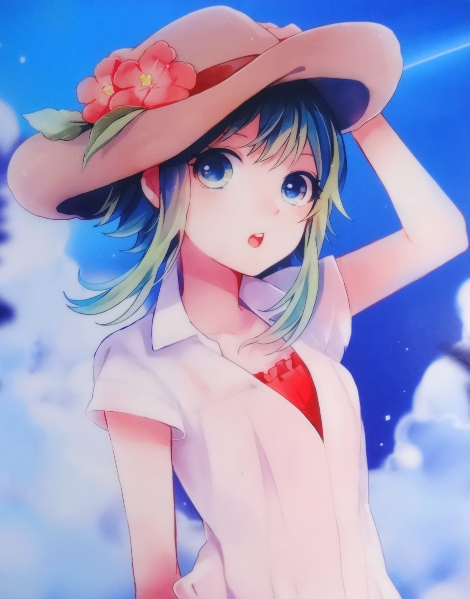 ◆ VOCALOID Megpoid メグッポイド GUMI 夏服 クリアファイル illust:たま ◆_画像3