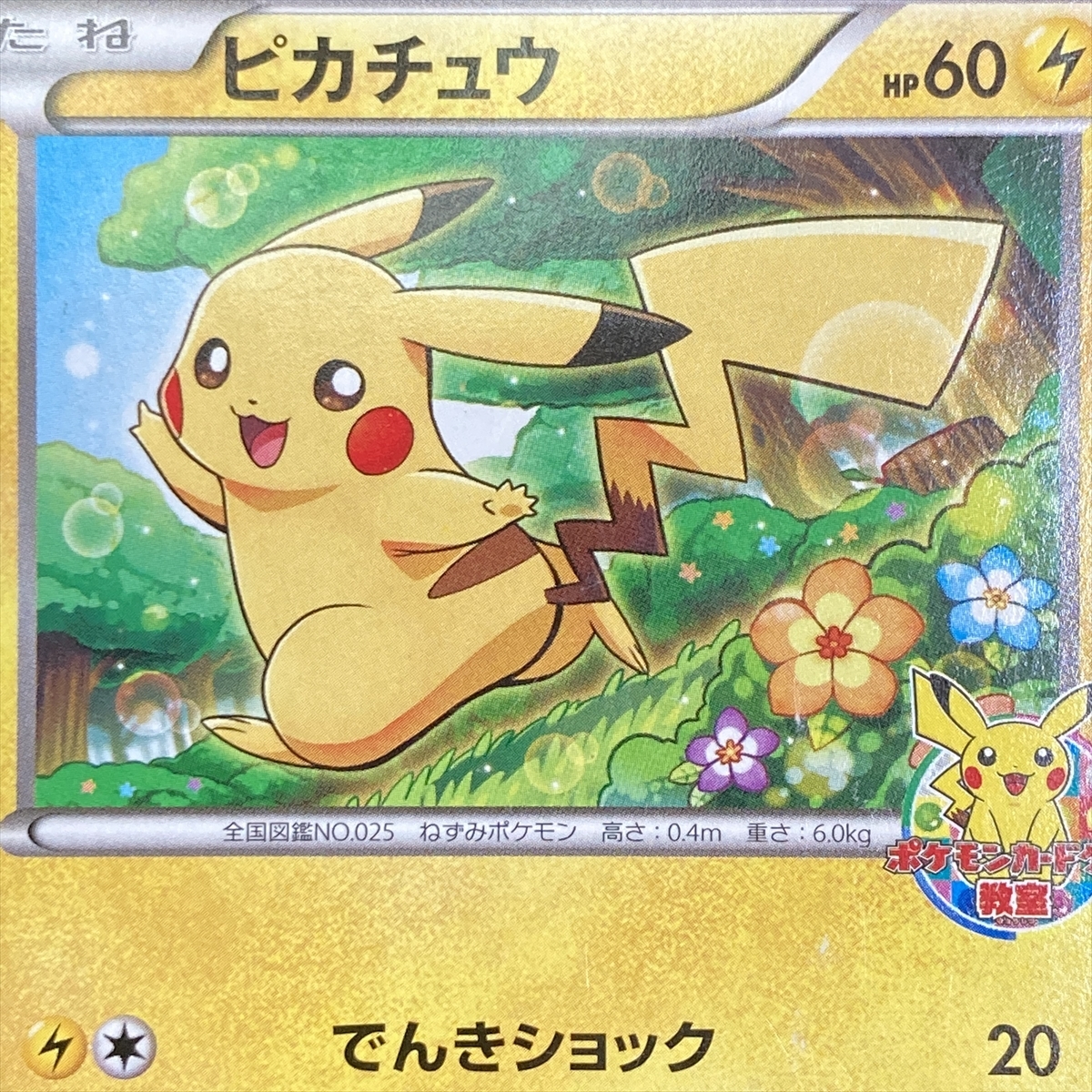 Yahoo!オークション - Pikachu No.001/XY-P Pokemon Card Yahoo!オークション - Pikachu No.001/XY-P Pokemon Card