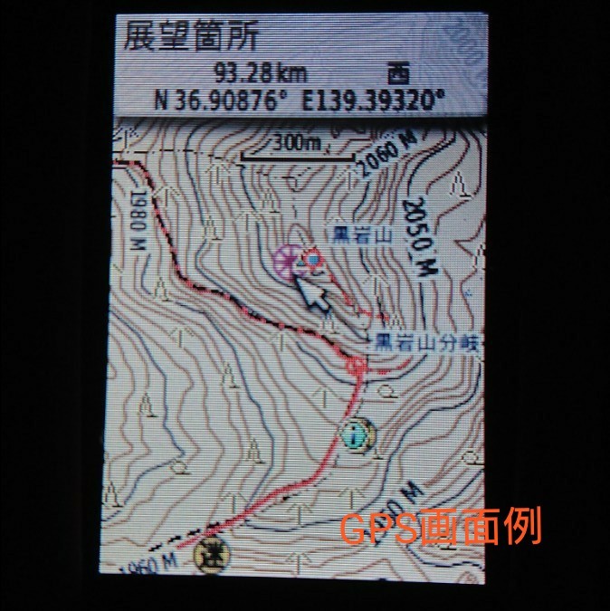 GARMIN TOPO 10M Plus V4 日本登山地形図 ハンディGPS用地図 GARMIN TOPO 10M Plus V4 日本登山地形図 ハンディGPS用地図