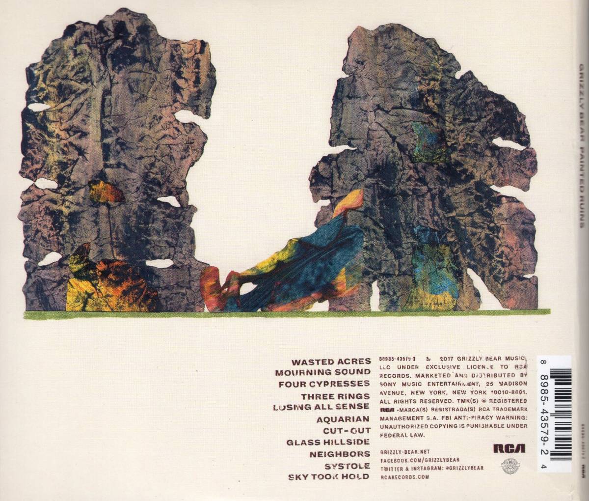 Grizzly Bear★グリズリー・ベア★Painted Ruins★輸入盤_画像2