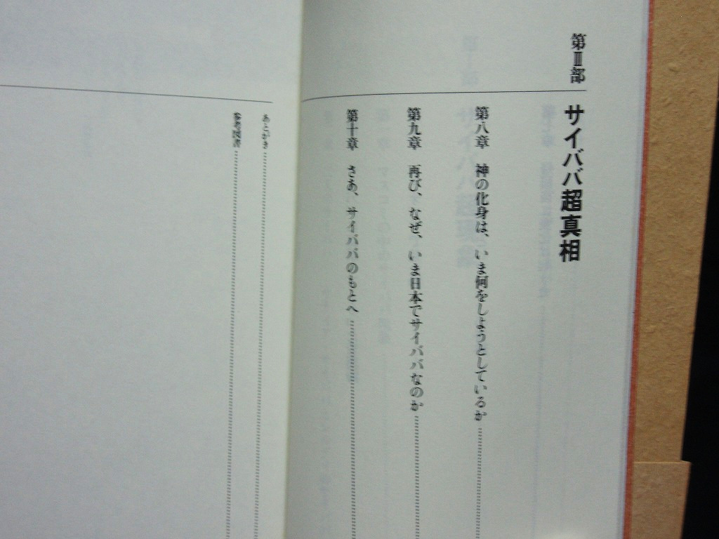 △西田みどり『サイババ超体験』徳間書店 1994年発行 新書判 インド 聖者 サイ・ババ 奇跡 スピリチュアル 霊性_画像5