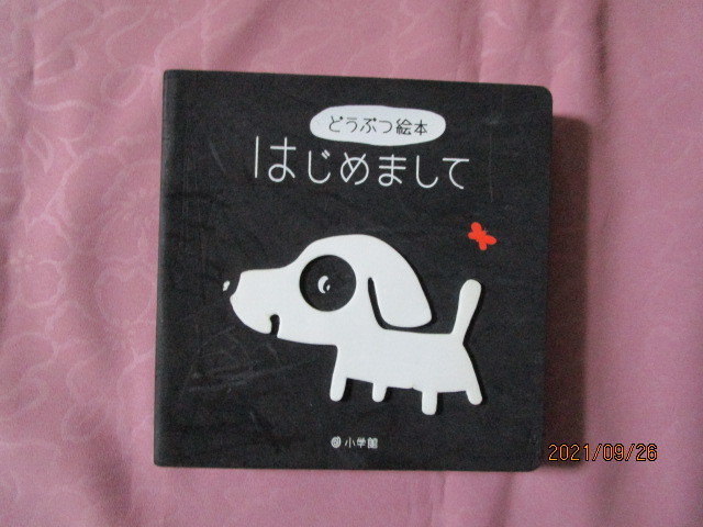 A [.... picture book nice to meet you ]g The bie*dun work Shogakukan Inc. issue device picture book 