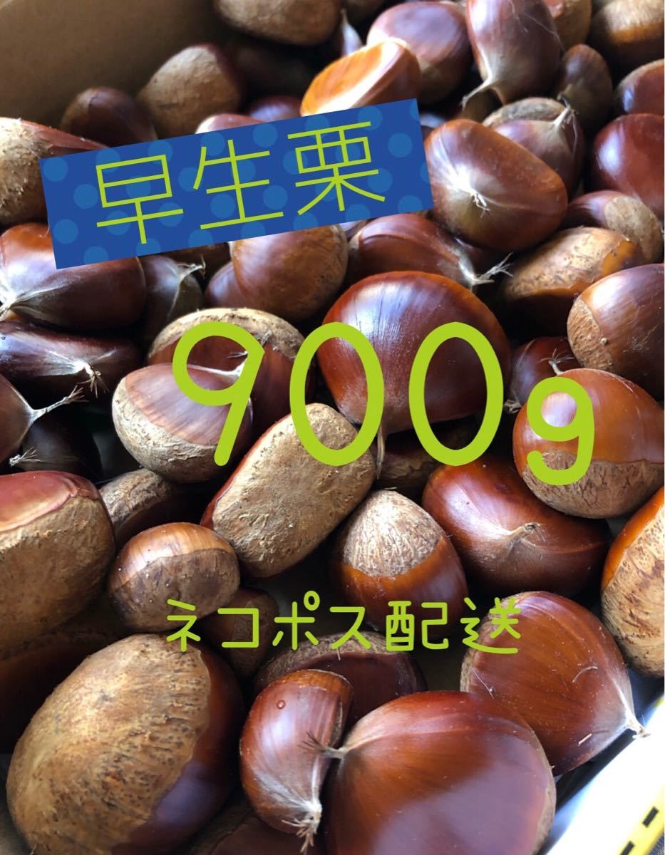 ほくさん専用 gzerosolucoes.com.br