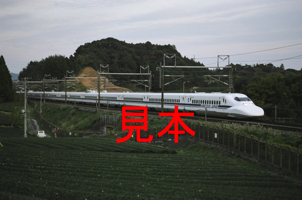 鉄道写真、35ミリネガデータ、137973840020、700系（AMBITIOUS JAPAN!ステッカーあり）、JR東海道新幹線、静岡～掛川、2003.11.27_画像1