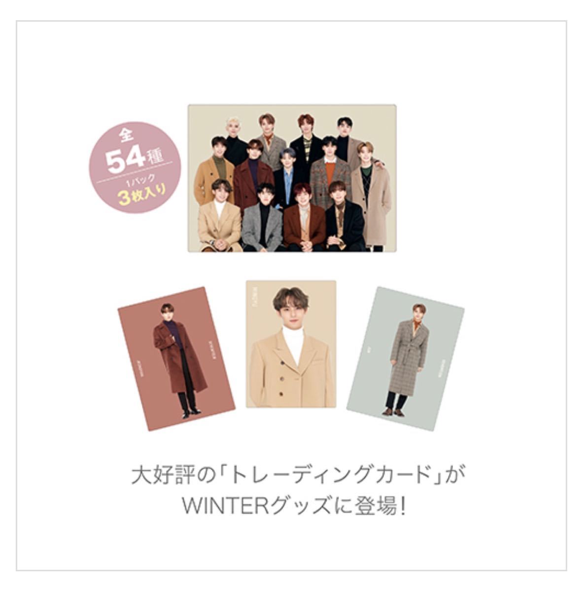 本命ギフト SEVENTEEN SEVENTEEN ディノ 2021、2022 セブチ セブチ